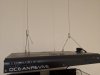 IMG_20190417_005016.jpg