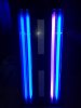 20190605_095741.jpg