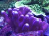 20180709_132342.jpg