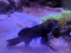 IMG_20181218_175711.jpg