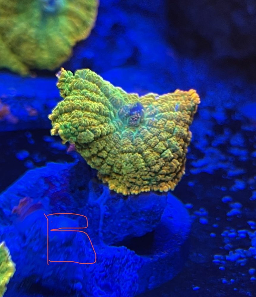 00556915-B3E8-41C3-8CB5-85FD05E97C68.jpeg