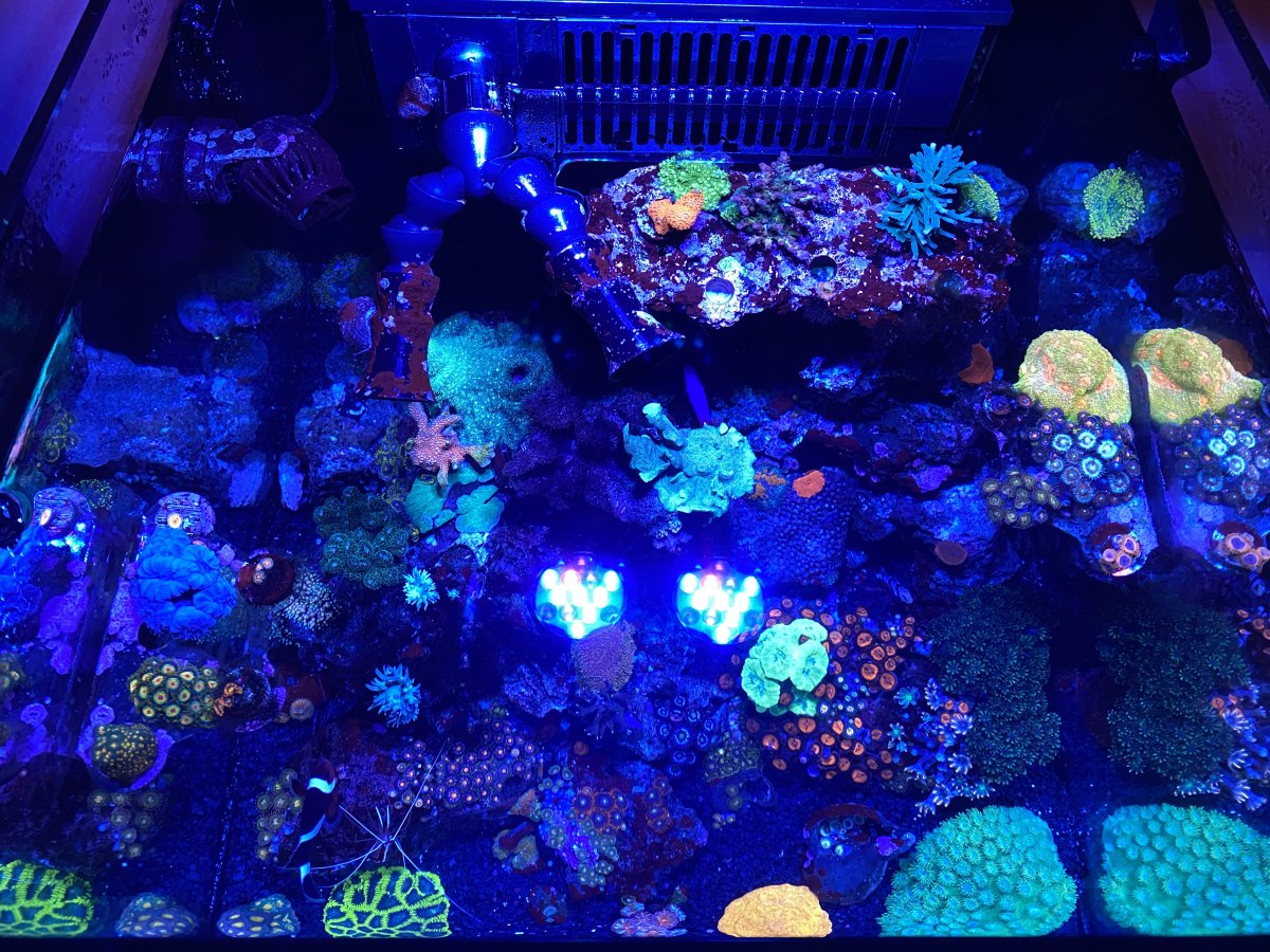 0059A9DF-80E0-417B-BDB3-F716A69158EF.jpeg