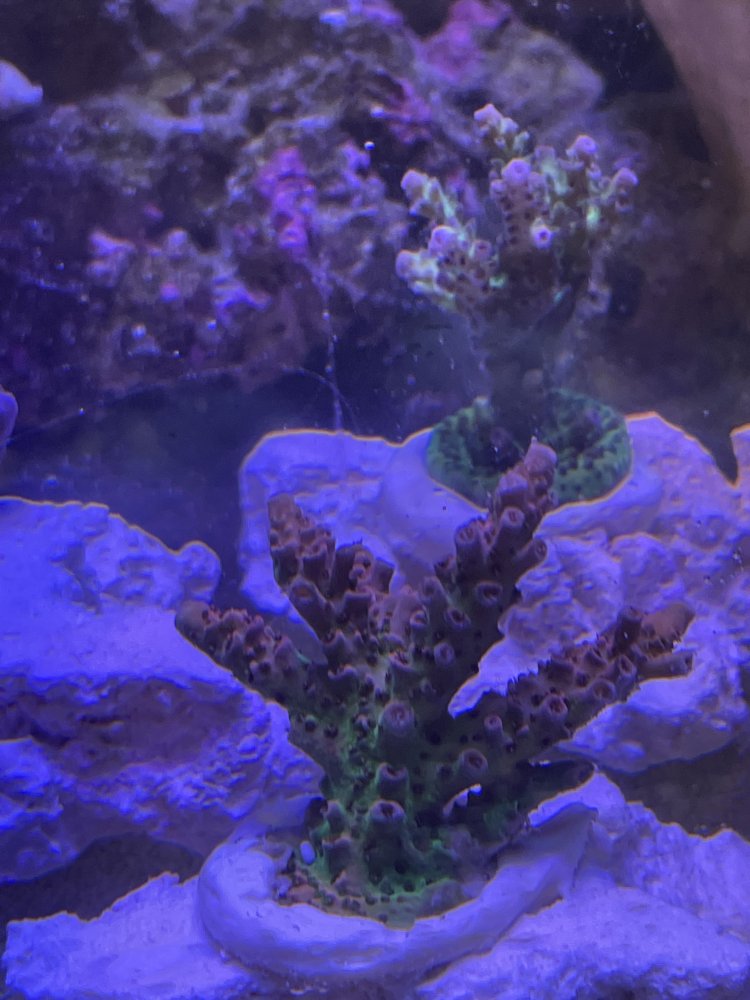 01405214-B8A0-4C1C-8203-A3390CF78E0D.jpeg