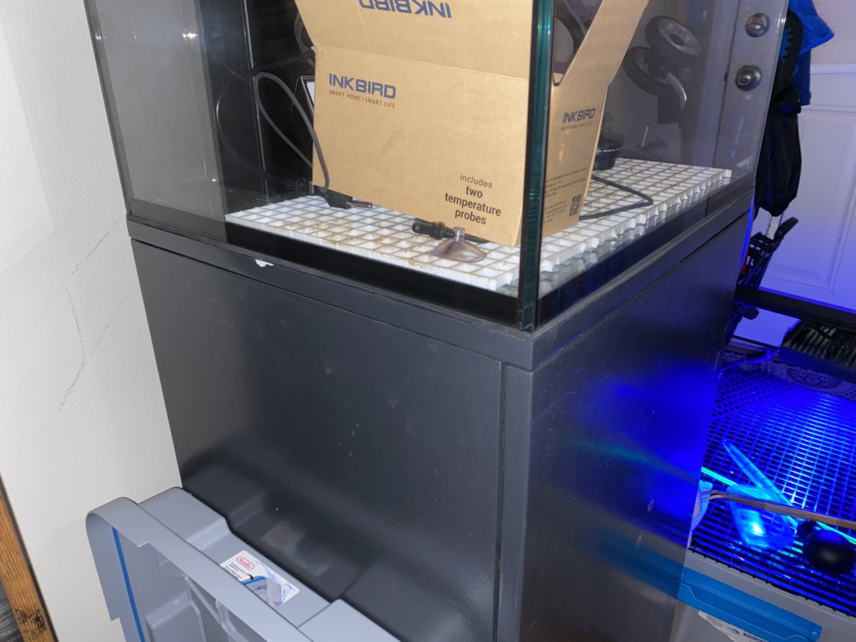 02136D2B-A90E-4F77-A0AE-C7AC60991E58.jpeg