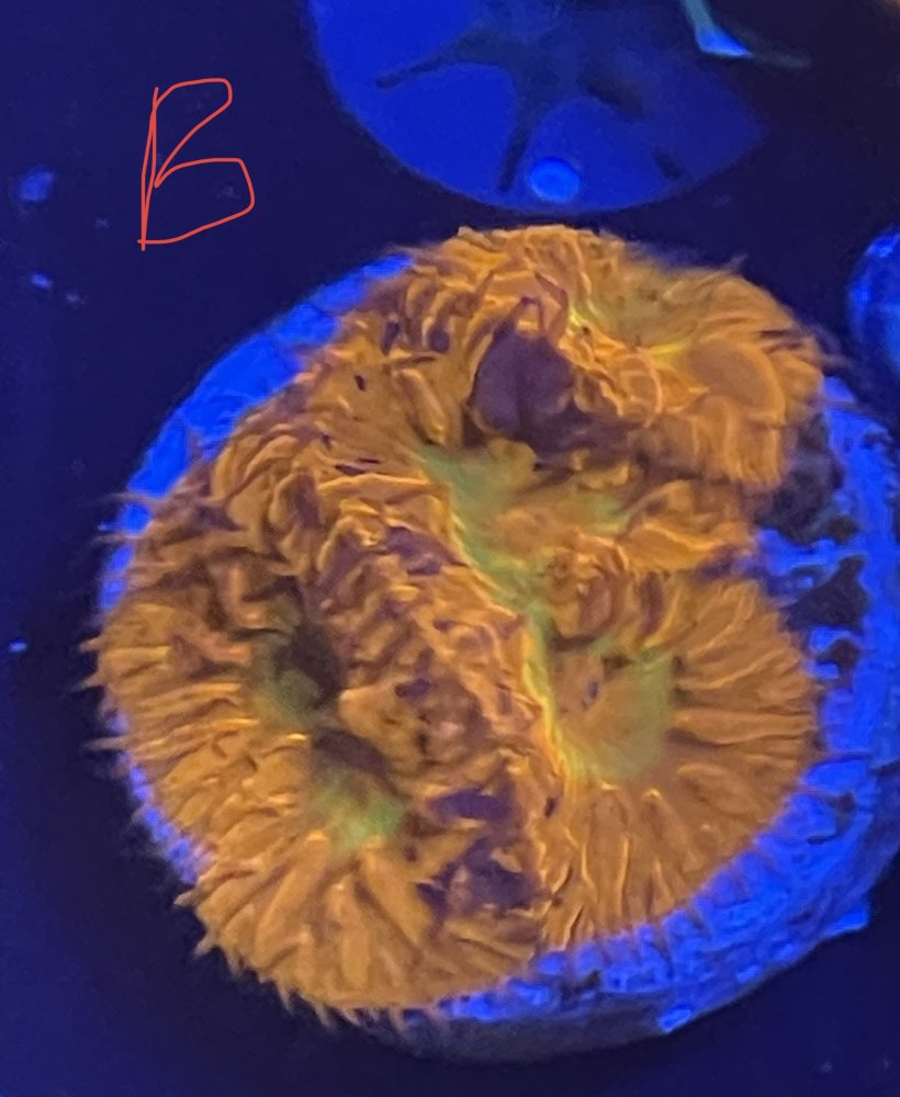 025629EF-33EB-49AD-99E6-1D219F6592C5.jpeg