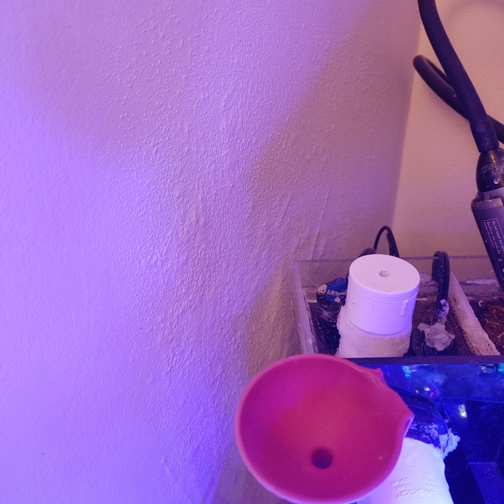 0306220930.jpg