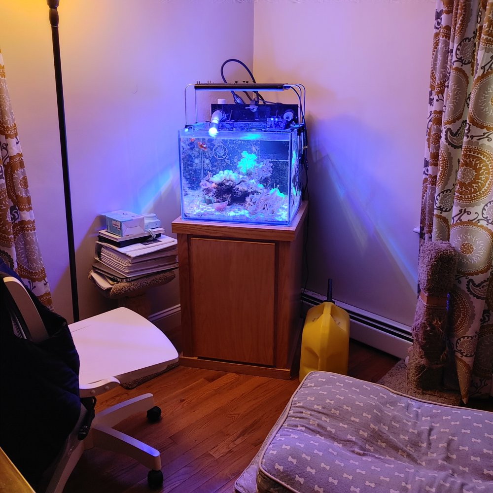 0306221725_HDR.jpg