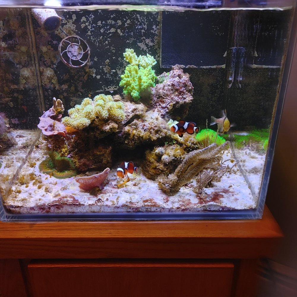 0306221730_HDR.jpg