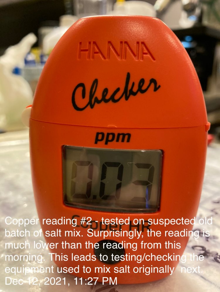 035D0B8A-9127-4097-99A9-84D8CDA7096E.jpeg