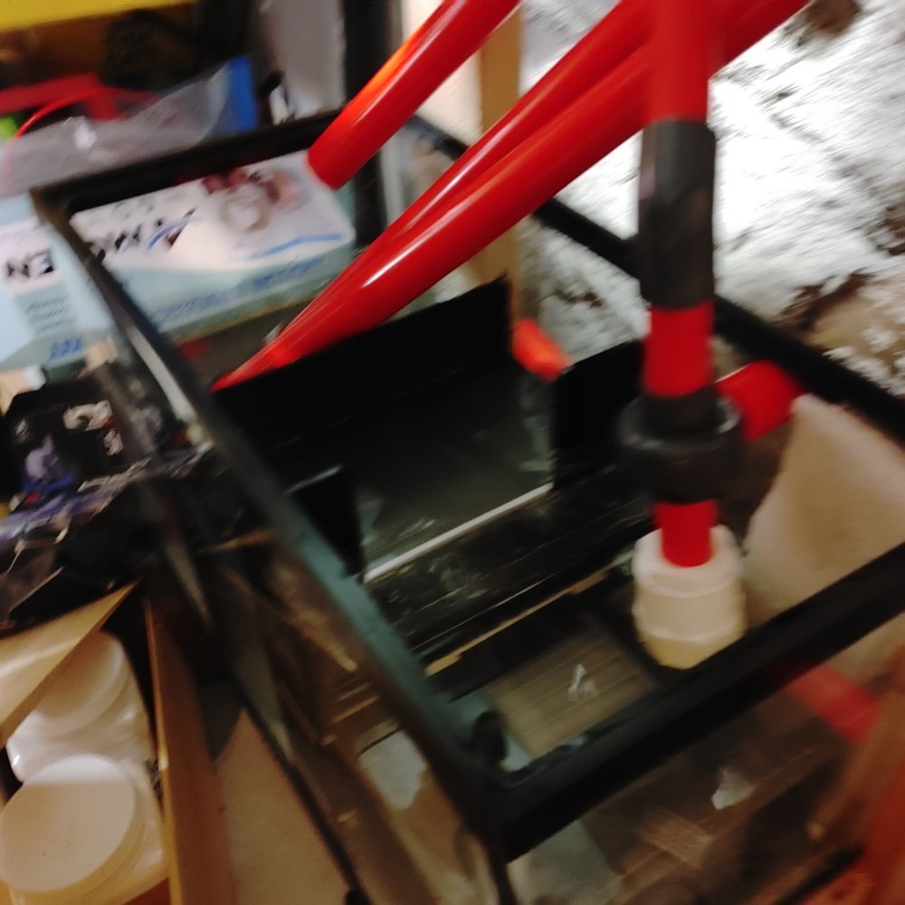 0612240757_HDR.jpg