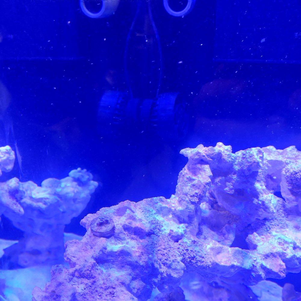 0701241617_HDR.jpg