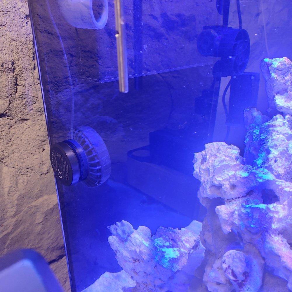 0701241617a_HDR.jpg