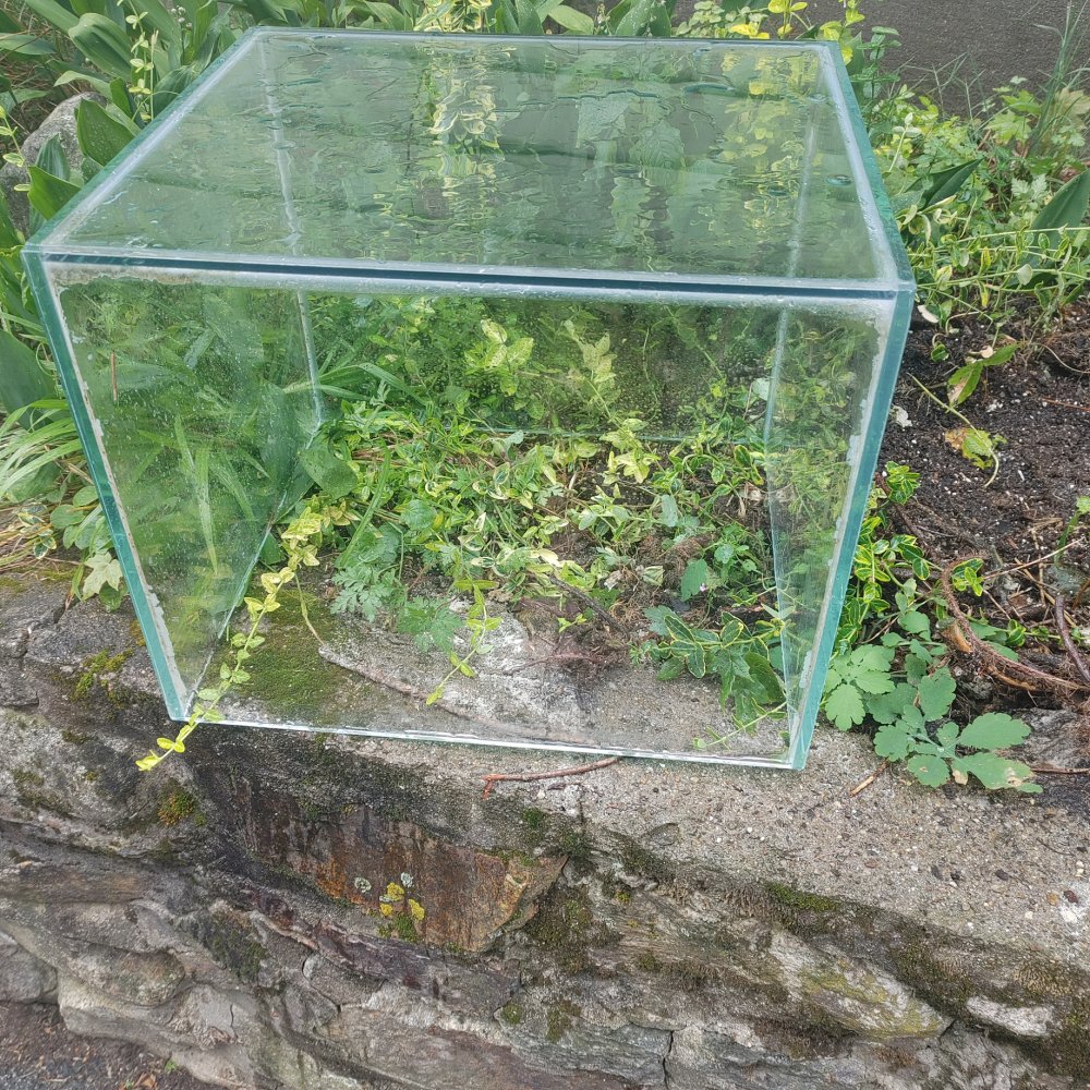0706240910.jpg