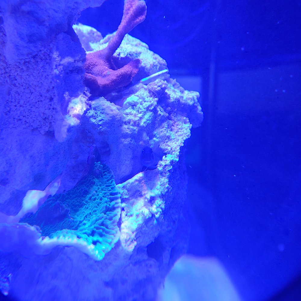 0714241656_HDR.jpg