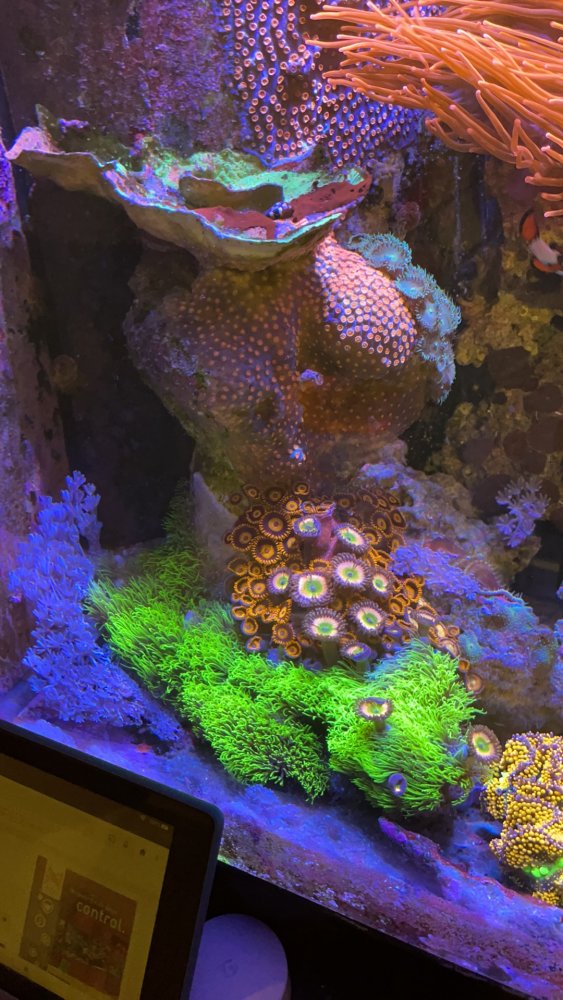 0878D7EC-D1B7-42C2-B36A-09F99AE5E0C5.jpeg