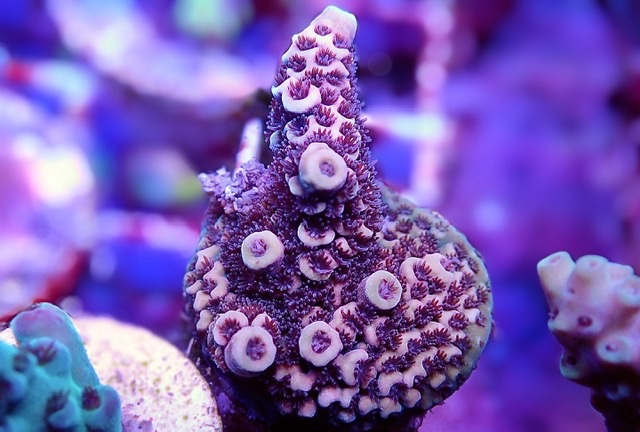 0C0C9623-7974-4214-B648-C6BC5D4F1C41.jpeg
