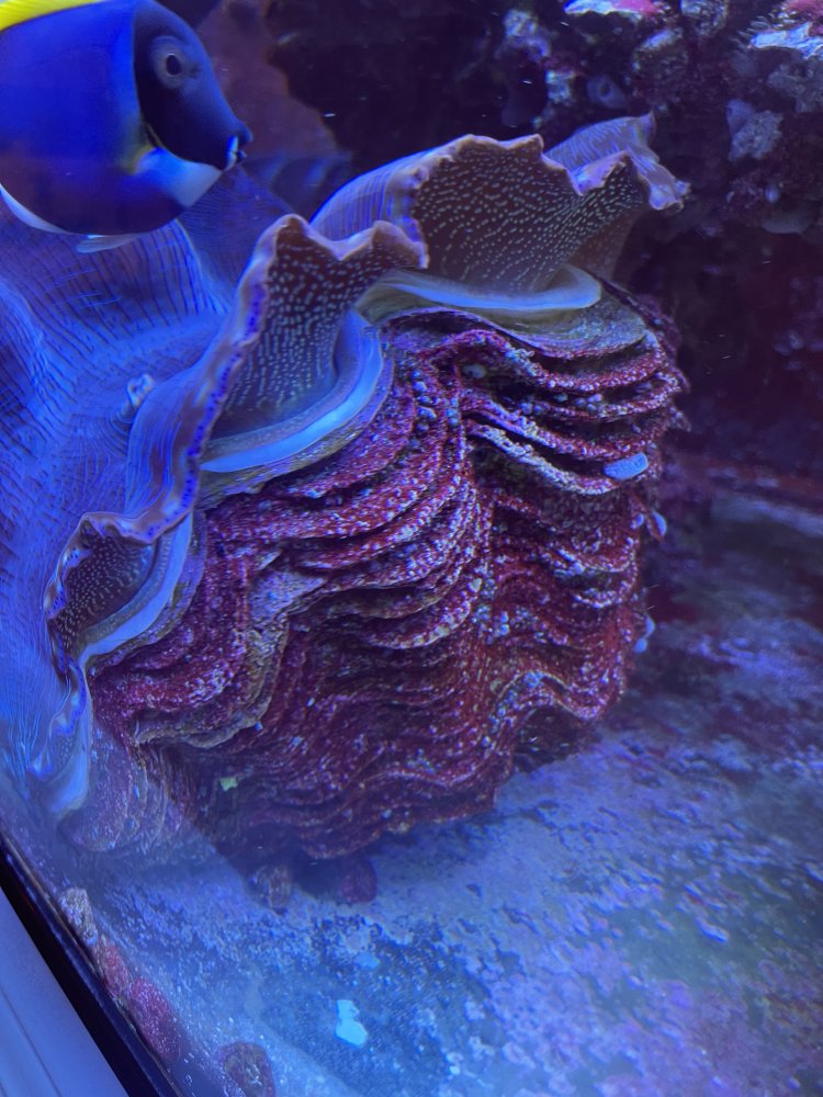 0C372436-0B4B-4BDE-8020-C0561DE8351B.jpeg