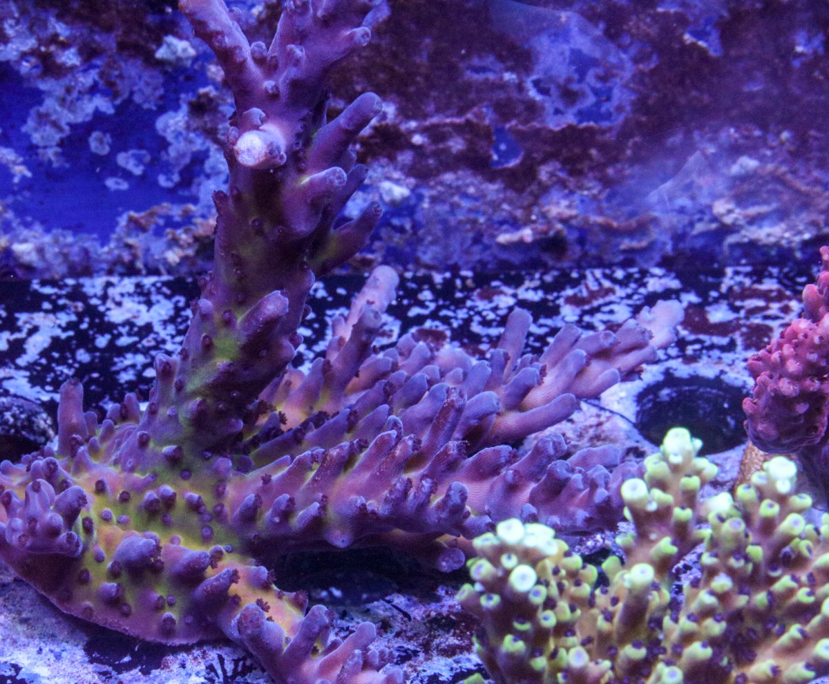 10_7-9981.jpg