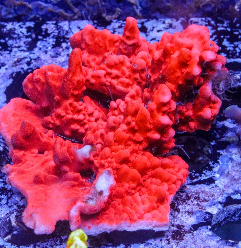 10_7-9984.jpg