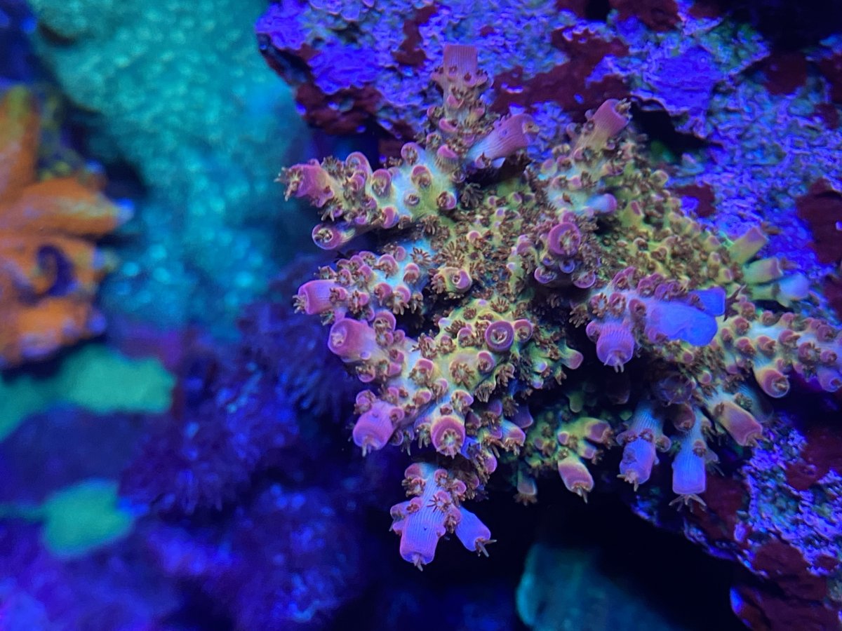 10AE5276-DF8C-4475-9A48-94D4FBDD574C.jpeg