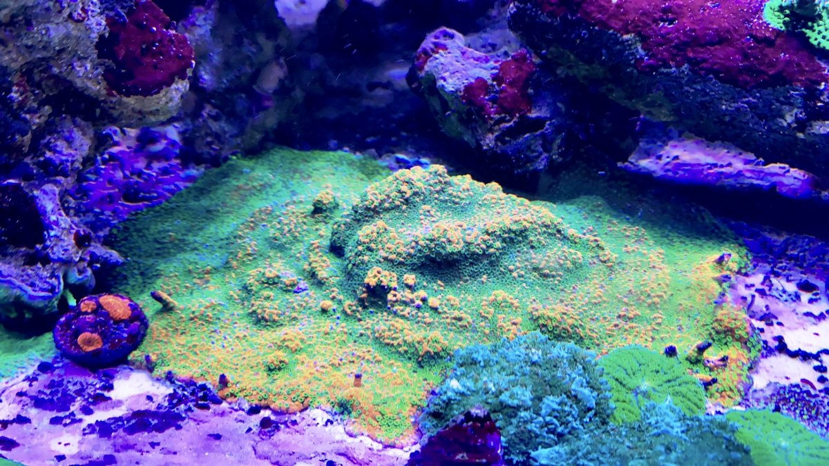 10F6D0E2-B66A-45B1-9E53-2918F3010926.jpeg
