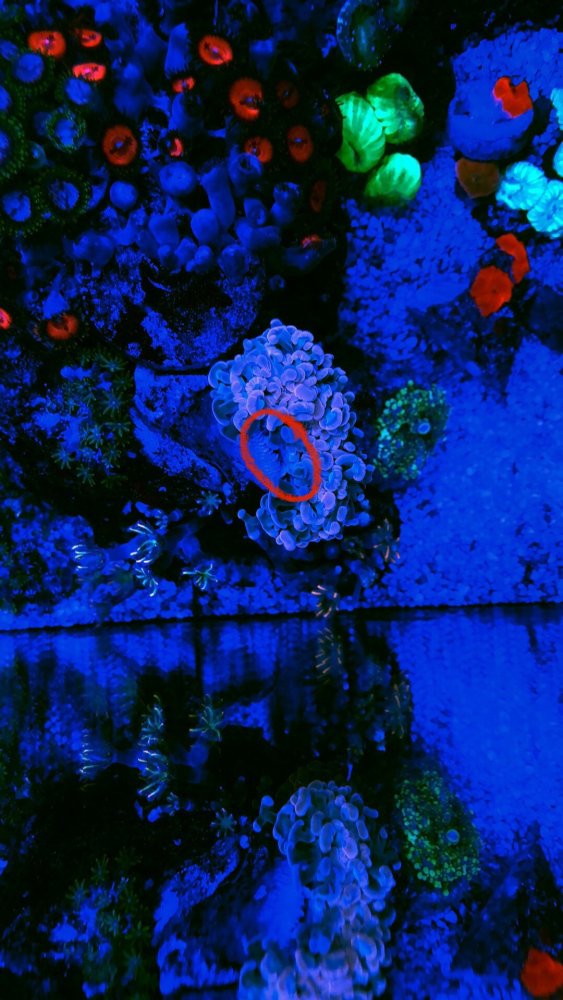 119960B2-F235-403C-BE66-E4F0CB0BB681.jpeg