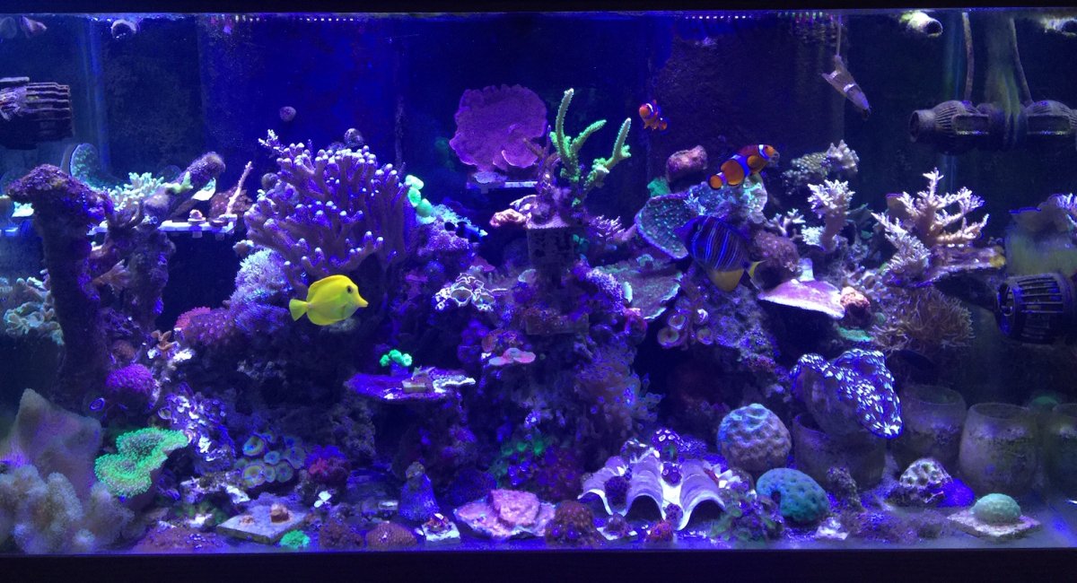 120G.jpg