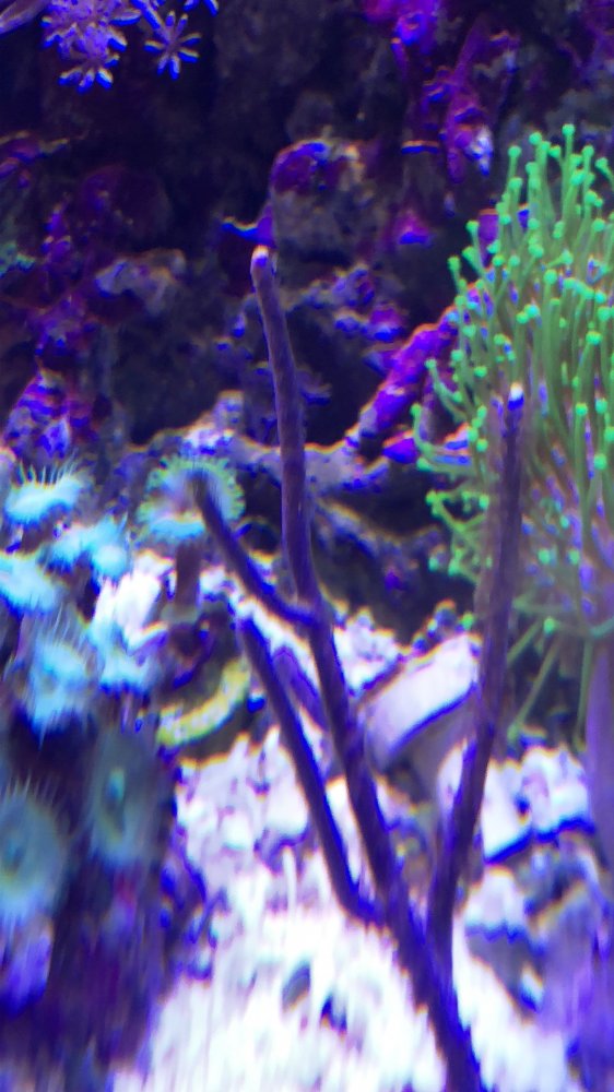 1224FA64-7E0C-42A1-8D23-D70A25E4C673.jpeg