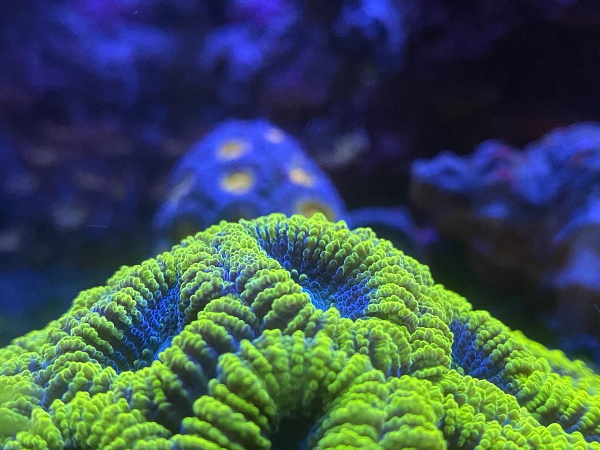 13AD6451-C945-4962-84EE-0B1AD30F3760.jpeg