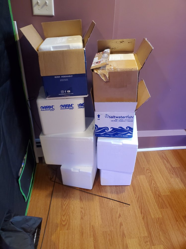 1605293629345687772646715259695.jpg