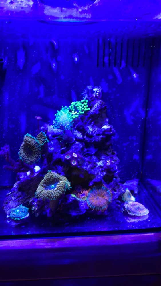 16301684-4977-4460-A56F-CFA55558617B.jpeg
