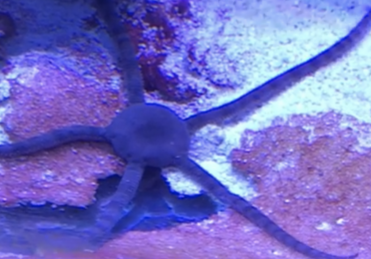 1650055751374.png
