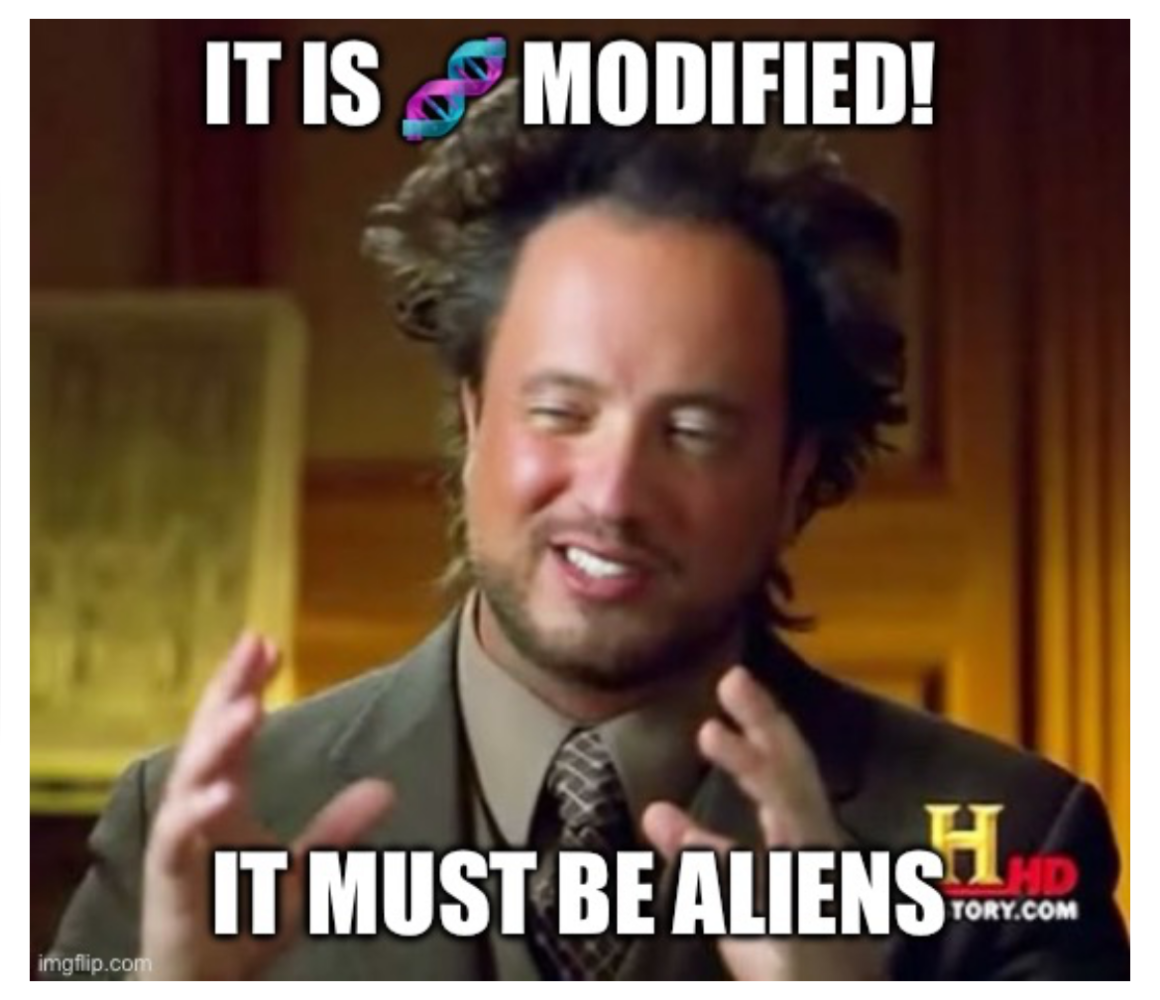 1708477388501.png