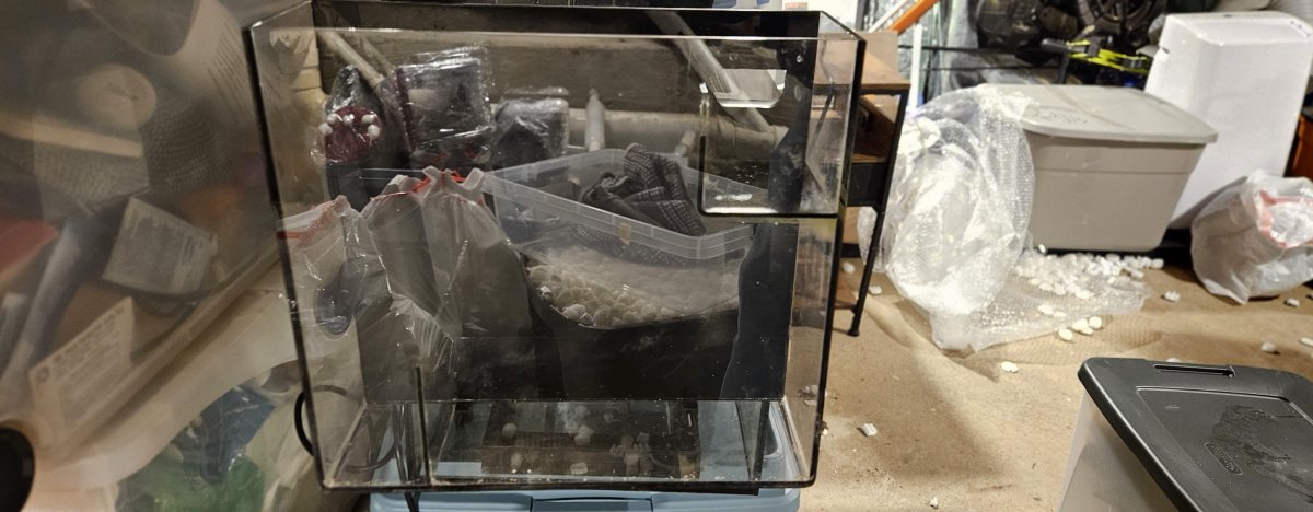 1735950347098.jpeg