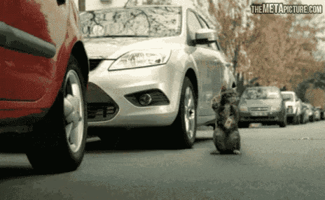 1754747386448.gif