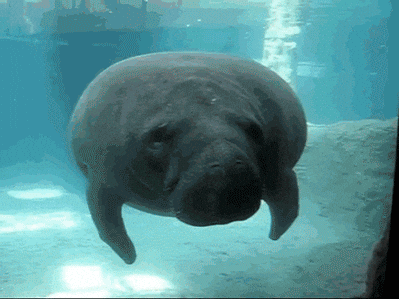 1755263641416.gif
