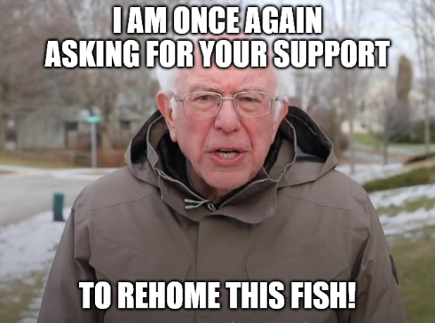 1776486875670.png