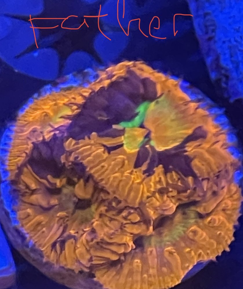 17F3B1BA-CA9A-4162-BA0D-7EE48914BB6C.jpeg
