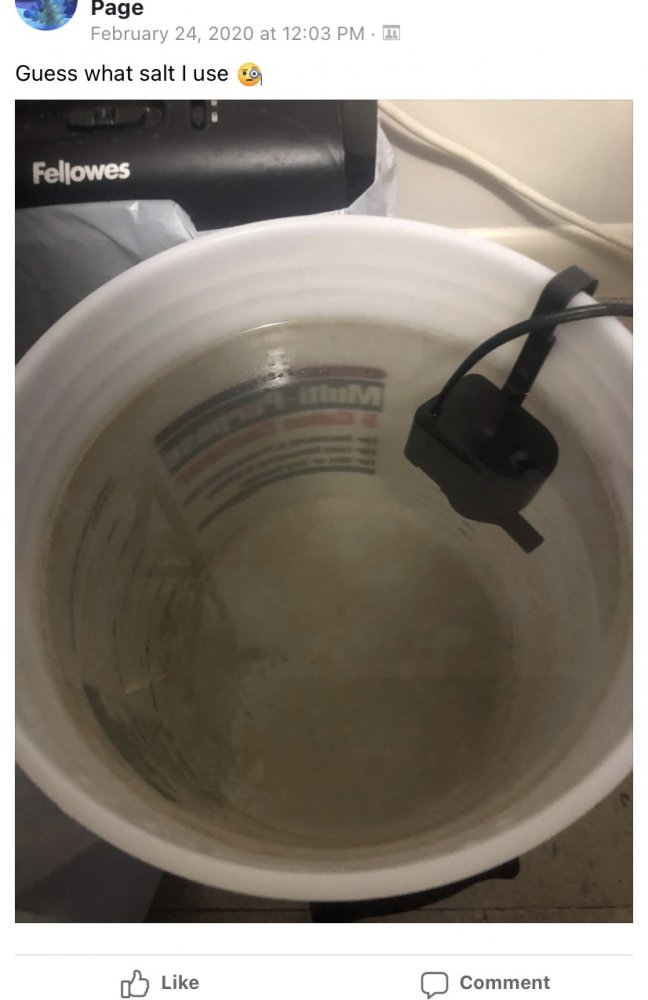 184831E2-5602-41E9-8409-DB8E698ED131.jpeg