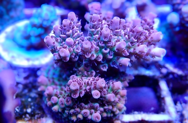 1F115E16-395F-4C6D-AFF8-302F1D1A1EB8.jpeg