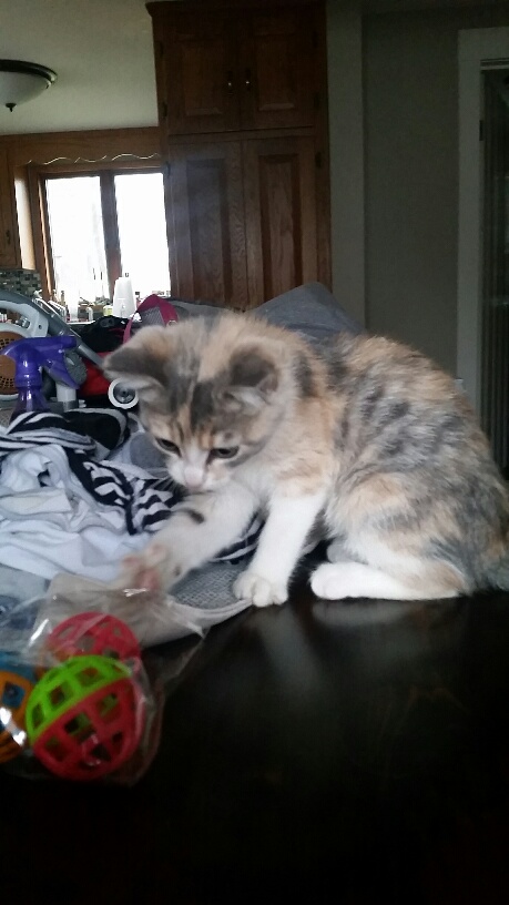 20151224_122332_resized_1.jpg