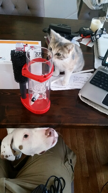 20160105_104145_resized.jpg