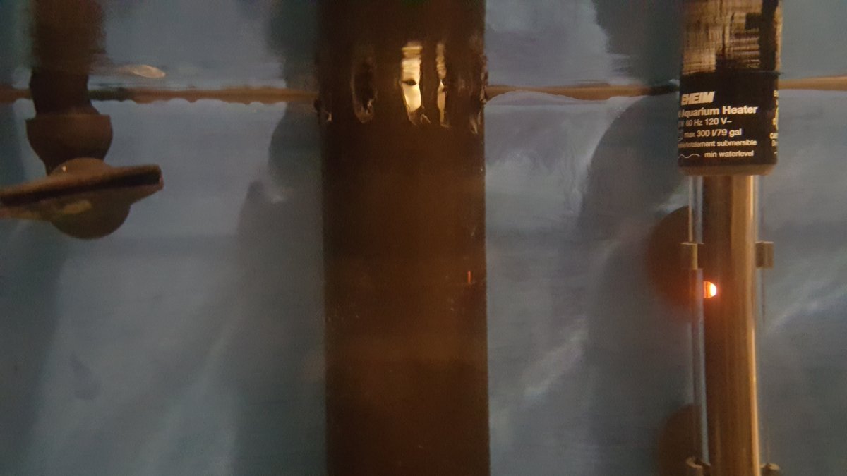 20170630_073913.jpg