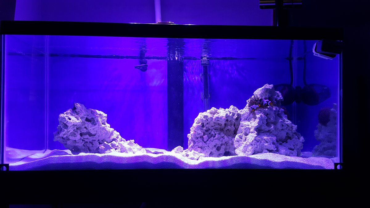 20170812_133301.jpg