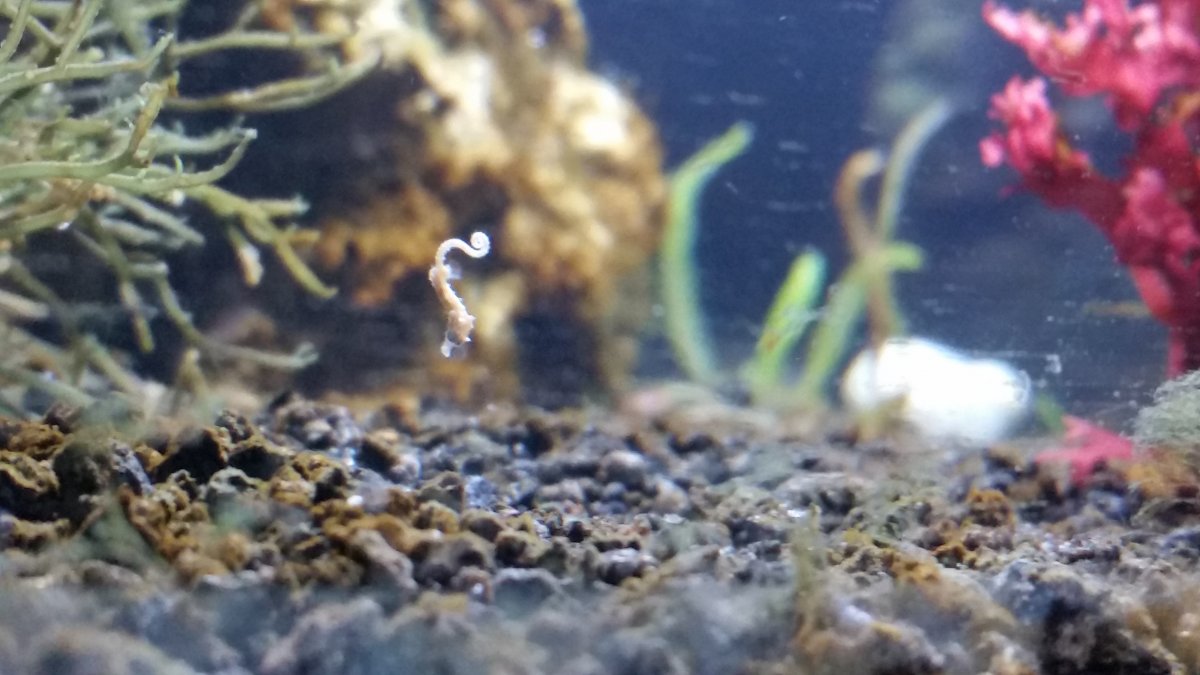 20170827_160222.jpg