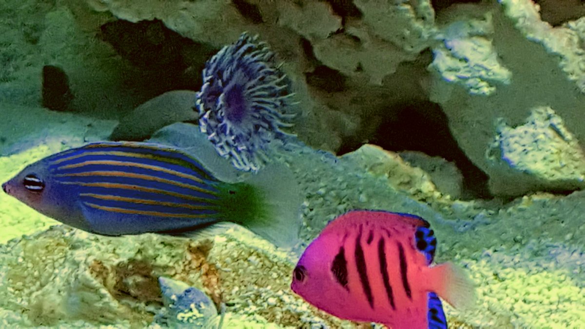 20170910_210414.jpg