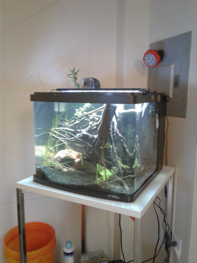 20171004_160035.jpg