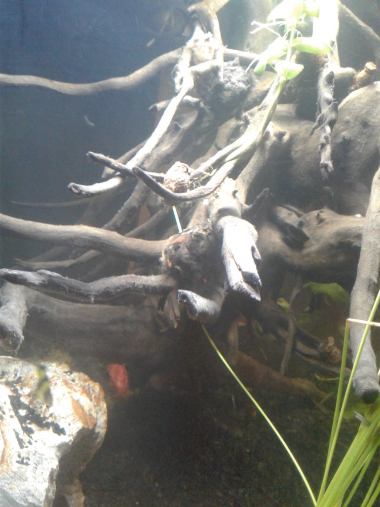 20171004_160107.jpg