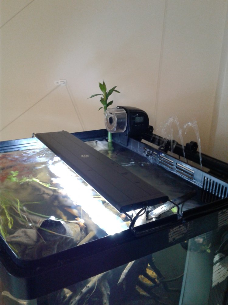 20171007_110633.jpg