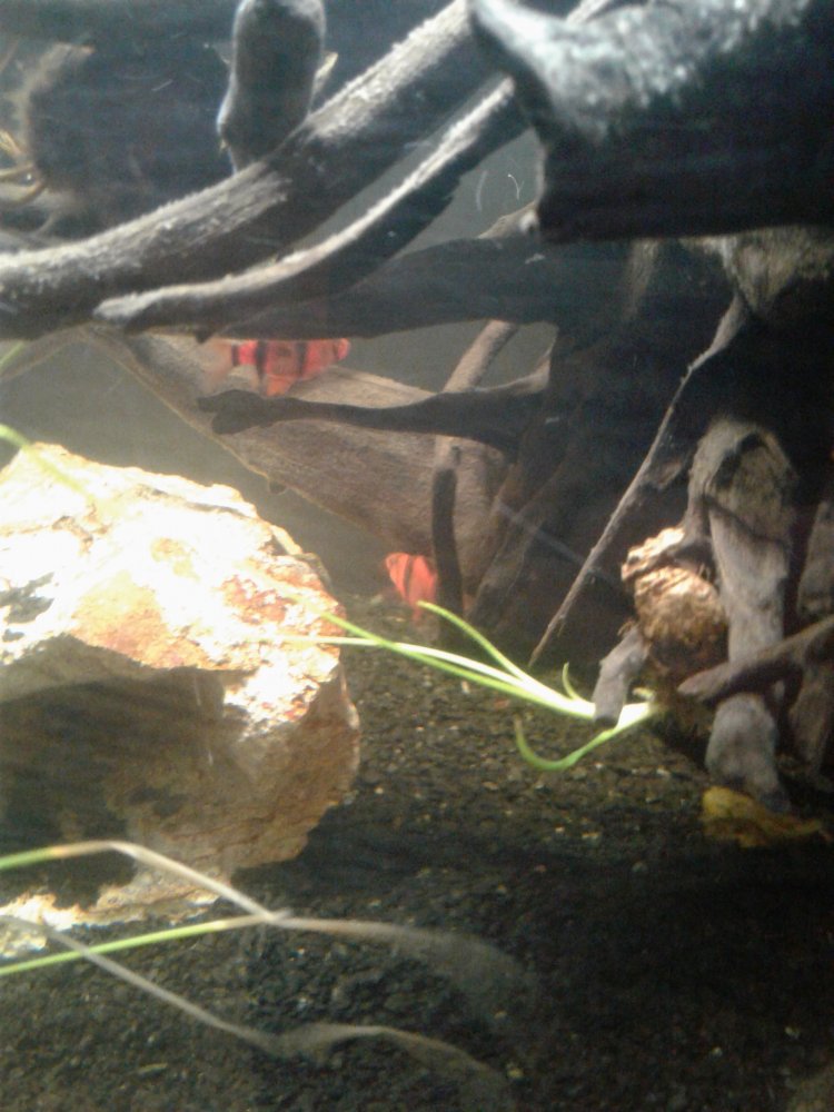 20171008_195302.jpg